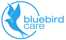 Domestic Services